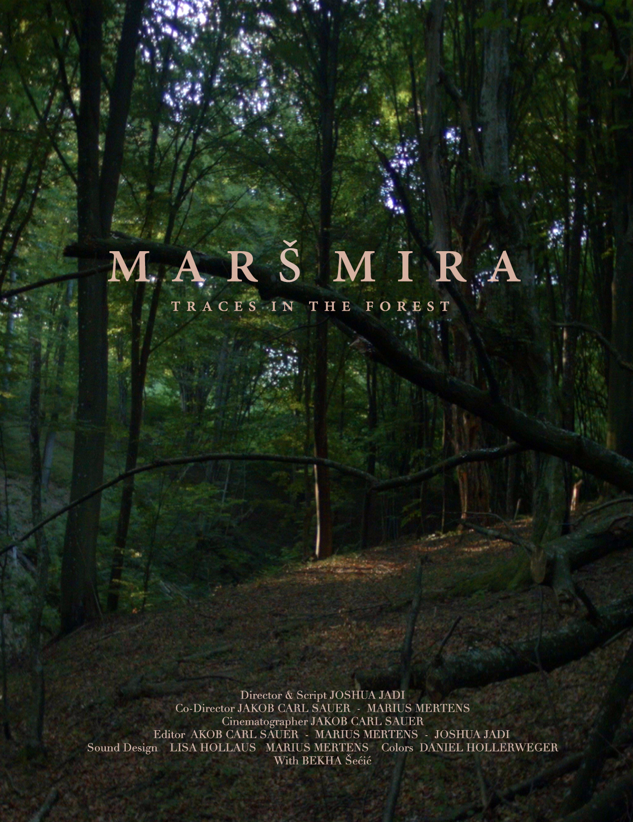 Mars Mira - Traces in the Forest